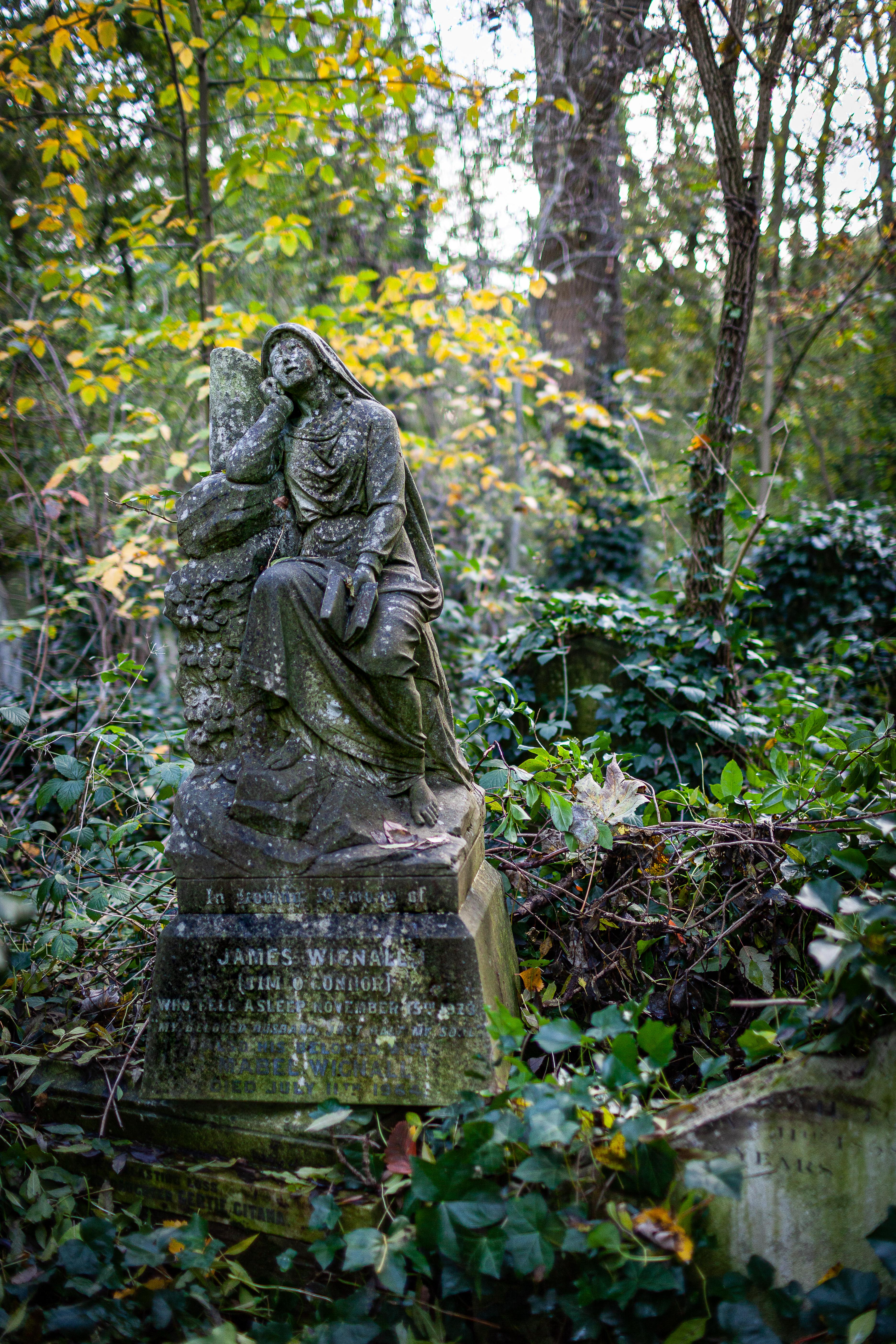 A Graveyard Mind